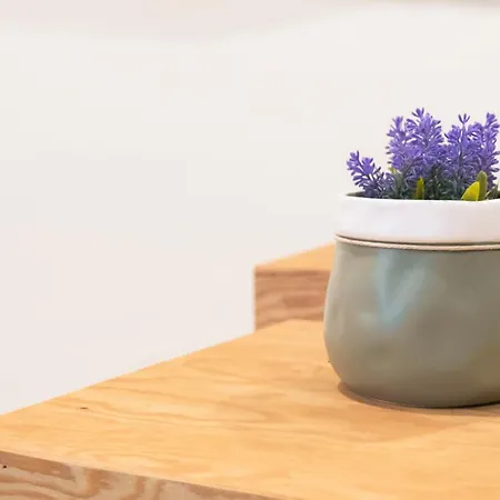 Hostelleria Hostel *